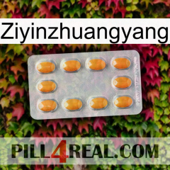 Ziyinzhuangyang cialis3